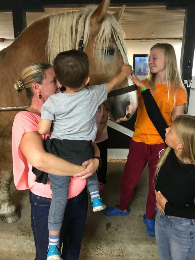 Vallby Farm Camp Orebro Ngoại thất bức ảnh